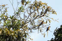 Contato direto com a natureza